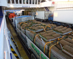 Μεταφορά χλοοτάπητα με το φορτηγό μας| More Green Έτοιμος χλοοτάπητας - γκαζόν