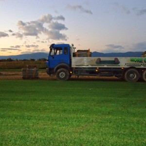 Το φορτηγό της εταιρίας μας | More Green Έτοιμος χλοοτάπητας - γκαζόν
